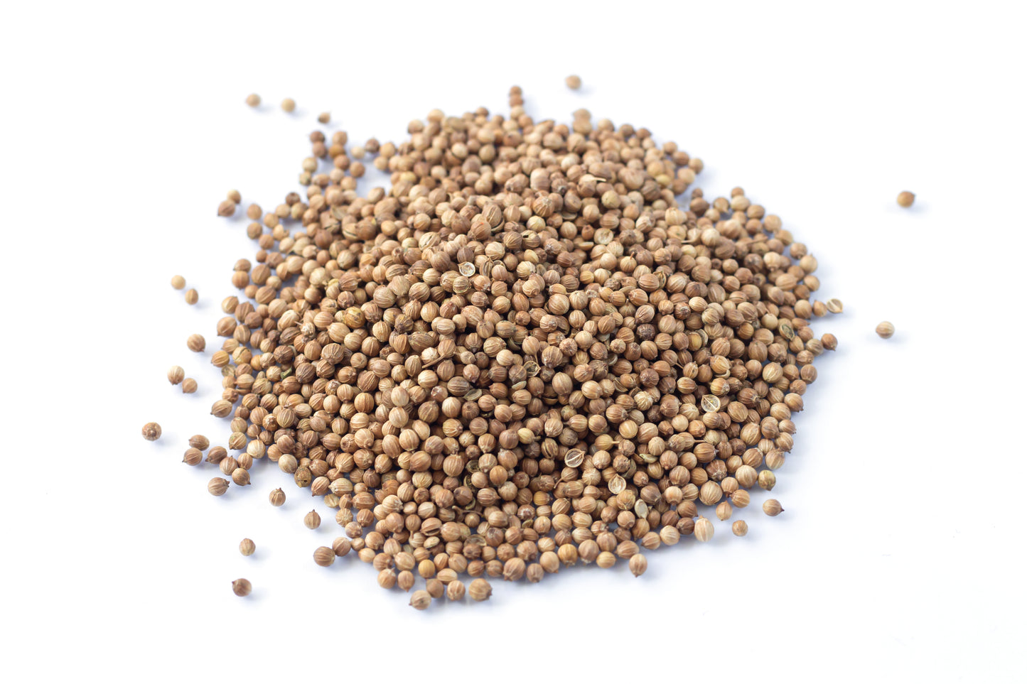 Coriander whole 2.5#