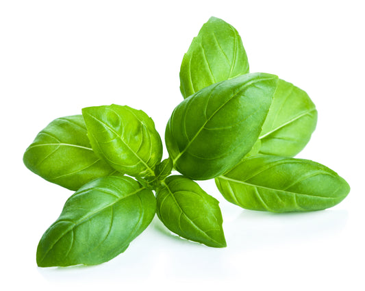 Basil whole leaf 1.5#