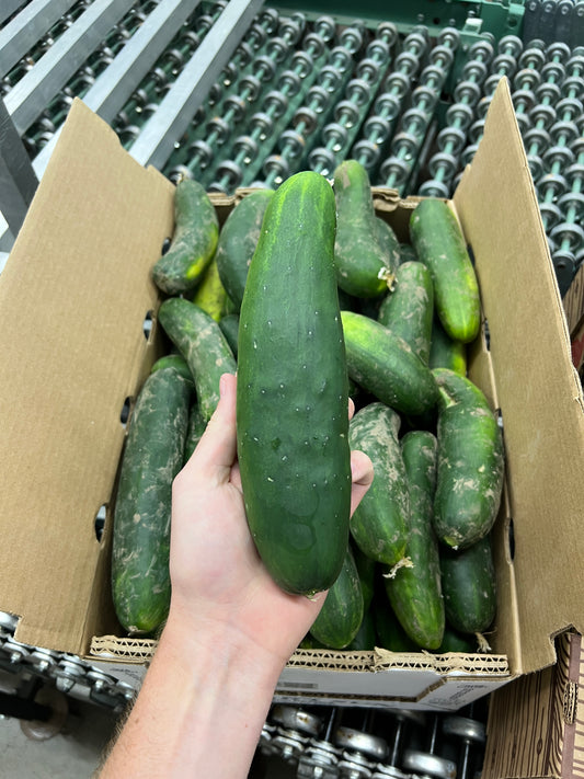 Cucumbers